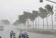 Cyclone Arnab: తెలుగు రాష్ట్రాలకు అర్నబ్ తుఫాను హెచ్చరికలు.. ఈ జిల్లాల్లో భారీ వర్షాలు Rains
