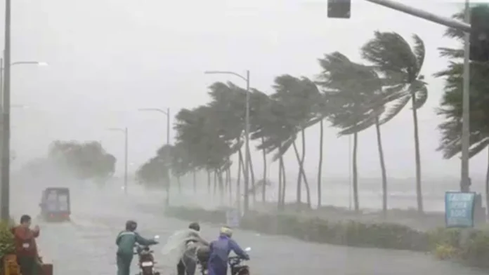 Rains Rains