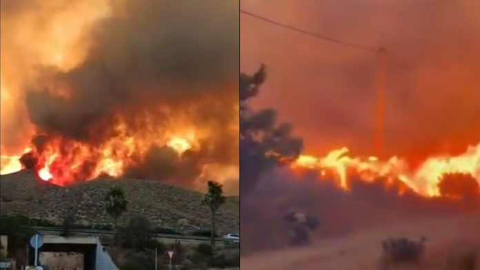 Spain’s deadliest wildfire