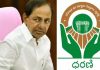 Dharani Portal : ధరణి పోర్టల్ అక్రమాలపై రేవంత్ ప్రభుత్వం కీలక నిర్ణయం