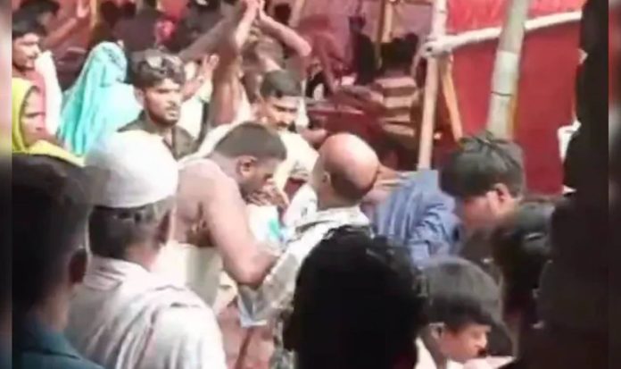 mutton fight mutton fight