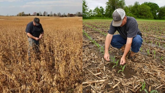 US farmers into worst crisis in 40 years