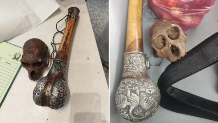 CISF Detects Skull Concealed in Passenger’s Hand Bag