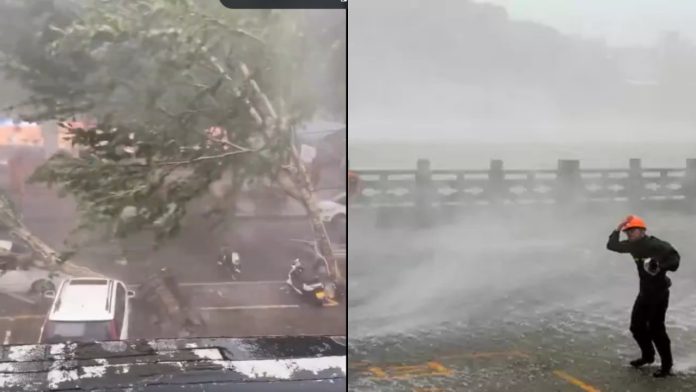 Typhoon Dolphin rattles China