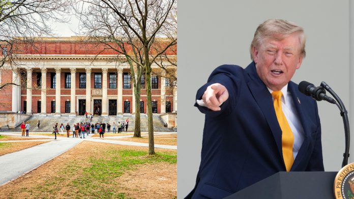 Indian students in US colleges drops by 15%.