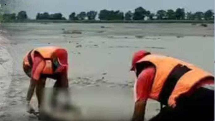 Dead Bodies from Nepal's Floods