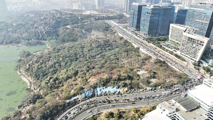 Rayadurgam Land Auction