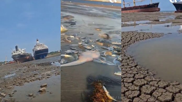 Argentina’s Sea “Disappears