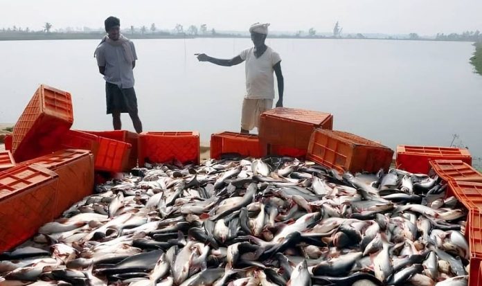 bihar