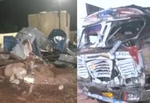 Madhya Pradesh : ఘోర ప్రమాదం.. భక్తులపైకి దూసుకెళ్లిన ట్రక్కు.. 12 మంది మృతి