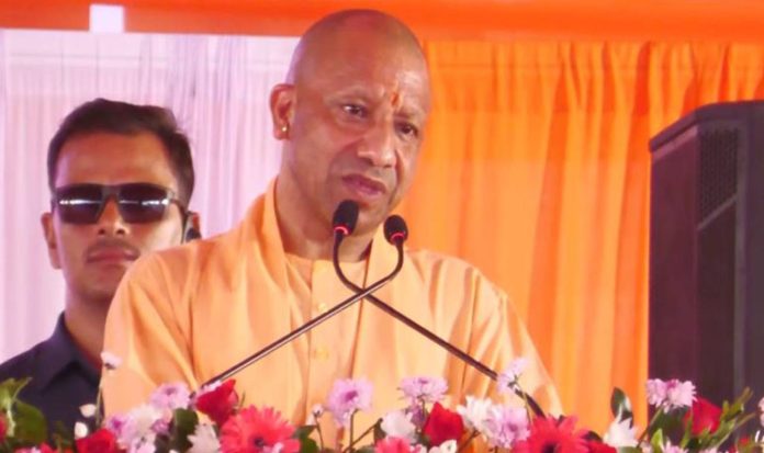 yogi